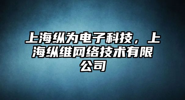 上?？v為電子科技，上?？v維網(wǎng)絡(luò)技術(shù)有限公司