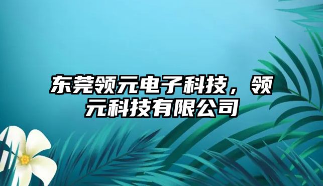 東莞領(lǐng)元電子科技，領(lǐng)元科技有限公司