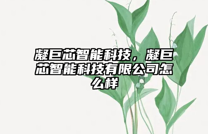 凝巨芯智能科技，凝巨芯智能科技有限公司怎么樣