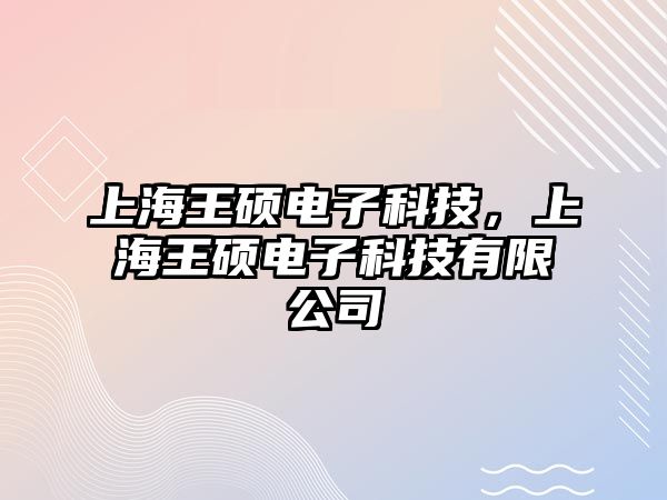 上海王碩電子科技，上海王碩電子科技有限公司