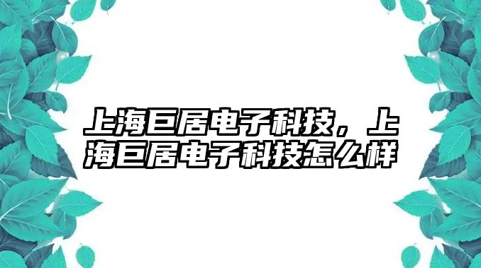 上海巨居電子科技，上海巨居電子科技怎么樣