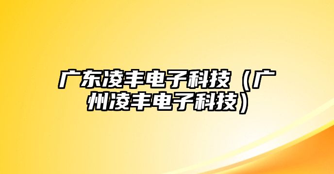 廣東凌豐電子科技（廣州凌豐電子科技）