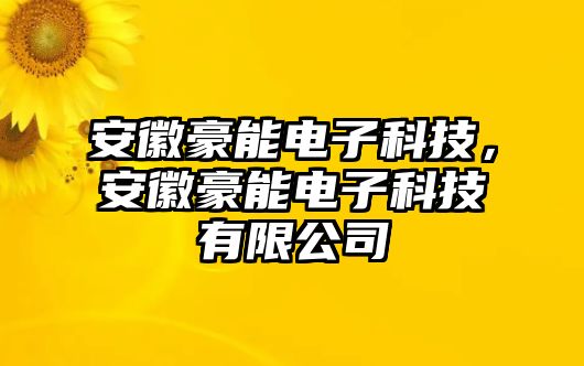 安徽豪能電子科技，安徽豪能電子科技有限公司