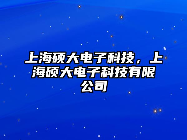 上海碩大電子科技，上海碩大電子科技有限公司