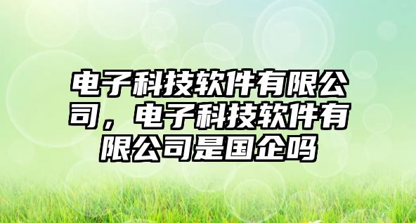 電子科技軟件有限公司，電子科技軟件有限公司是國企嗎