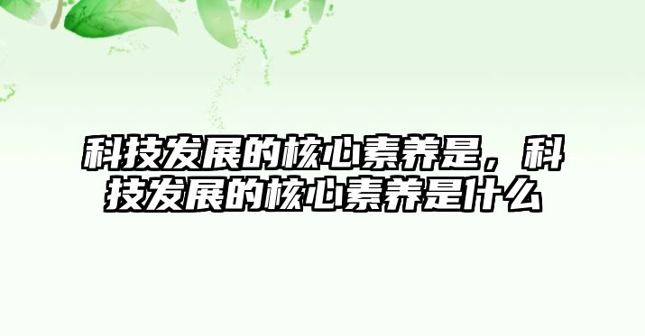 科技發(fā)展的核心素養(yǎng)是，科技發(fā)展的核心素養(yǎng)是什么