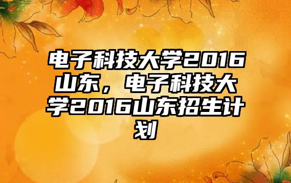 電子科技大學(xué)2016山東，電子科技大學(xué)2016山東招生計(jì)劃