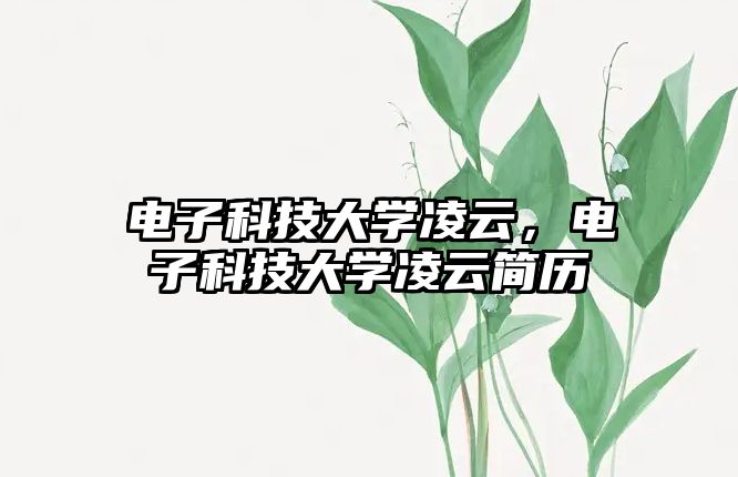 電子科技大學(xué)凌云，電子科技大學(xué)凌云簡(jiǎn)歷