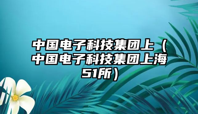 中國(guó)電子科技集團(tuán)上（中國(guó)電子科技集團(tuán)上海51所）