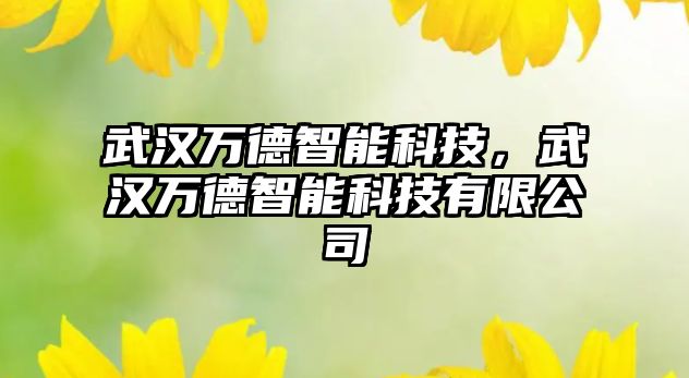 武漢萬德智能科技，武漢萬德智能科技有限公司