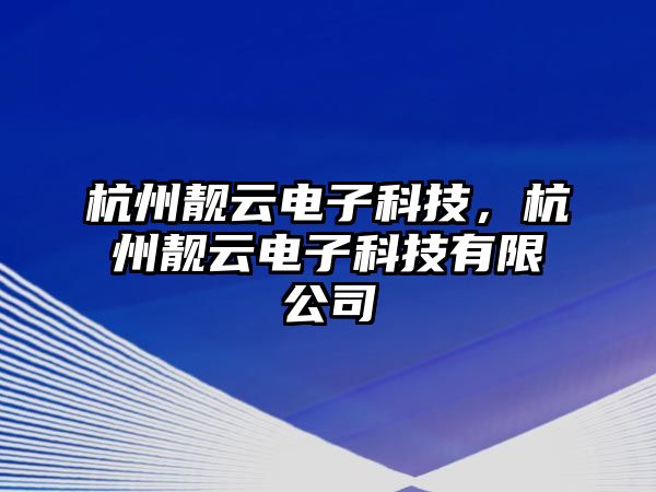 杭州靚云電子科技，杭州靚云電子科技有限公司