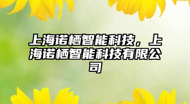 上海諾棲智能科技，上海諾棲智能科技有限公司