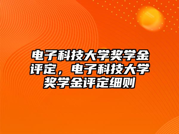 電子科技大學獎學金評定，電子科技大學獎學金評定細則