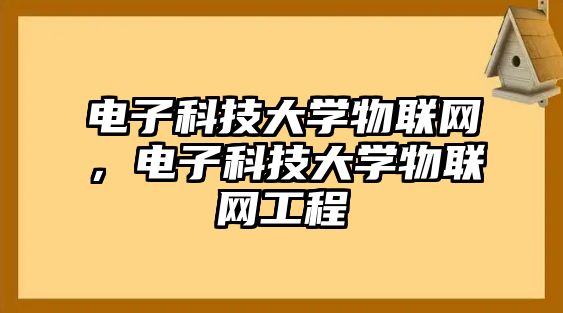 電子科技大學(xué)物聯(lián)網(wǎng)，電子科技大學(xué)物聯(lián)網(wǎng)工程