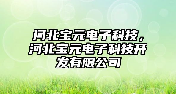 河北寶元電子科技，河北寶元電子科技開發(fā)有限公司