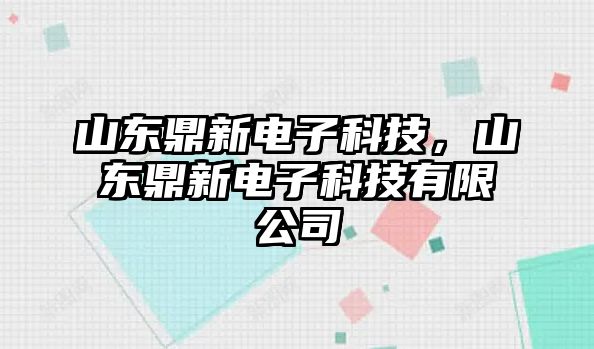 山東鼎新電子科技，山東鼎新電子科技有限公司