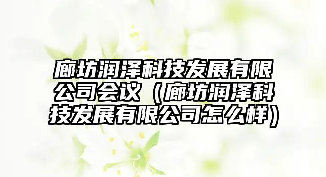 廊坊潤(rùn)澤科技發(fā)展有限公司會(huì)議（廊坊潤(rùn)澤科技發(fā)展有限公司怎么樣）