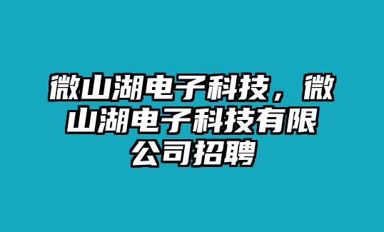 微山湖電子科技，微山湖電子科技有限公司招聘