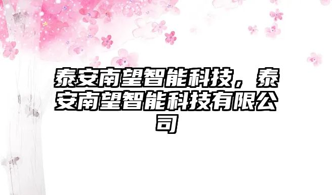 泰安南望智能科技，泰安南望智能科技有限公司