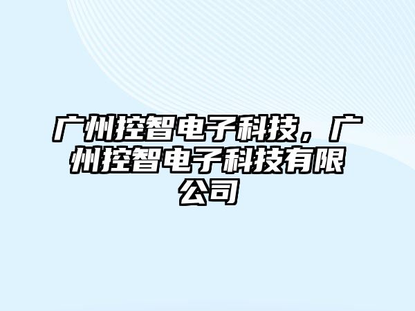 廣州控智電子科技，廣州控智電子科技有限公司