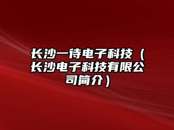 長沙一待電子科技（長沙電子科技有限公司簡介）