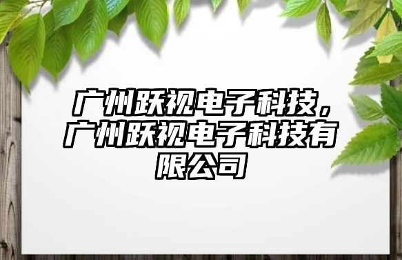 廣州躍視電子科技，廣州躍視電子科技有限公司