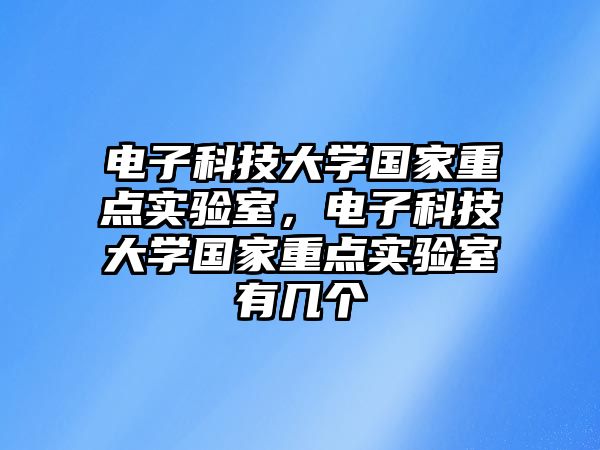 電子科技大學(xué)國(guó)家重點(diǎn)實(shí)驗(yàn)室，電子科技大學(xué)國(guó)家重點(diǎn)實(shí)驗(yàn)室有幾個(gè)