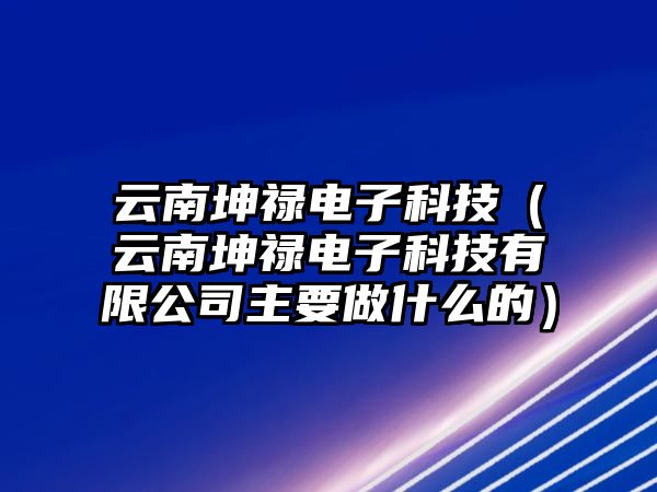 云南坤祿電子科技（云南坤祿電子科技有限公司主要做什么的）