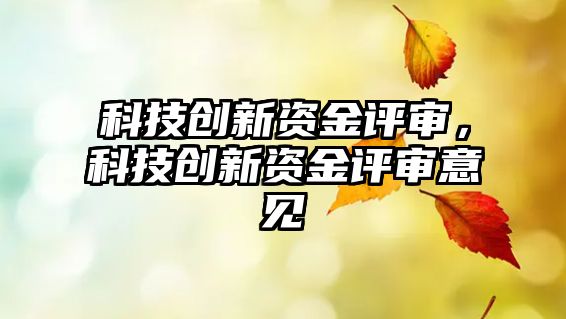 科技創(chuàng)新資金評(píng)審，科技創(chuàng)新資金評(píng)審意見(jiàn)