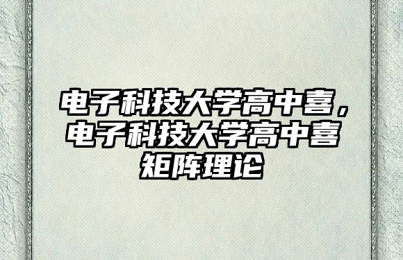 電子科技大學高中喜，電子科技大學高中喜矩陣理論