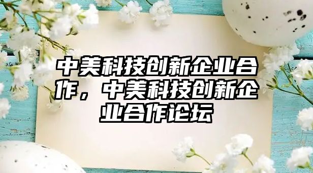 中美科技創(chuàng)新企業(yè)合作，中美科技創(chuàng)新企業(yè)合作論壇