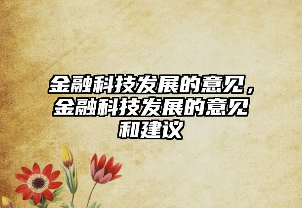 金融科技發(fā)展的意見，金融科技發(fā)展的意見和建議