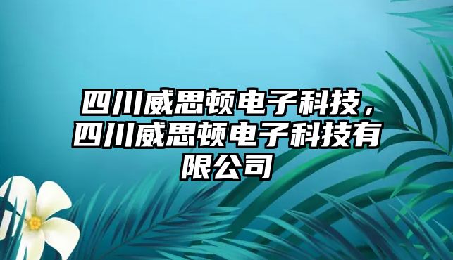 四川威思頓電子科技，四川威思頓電子科技有限公司