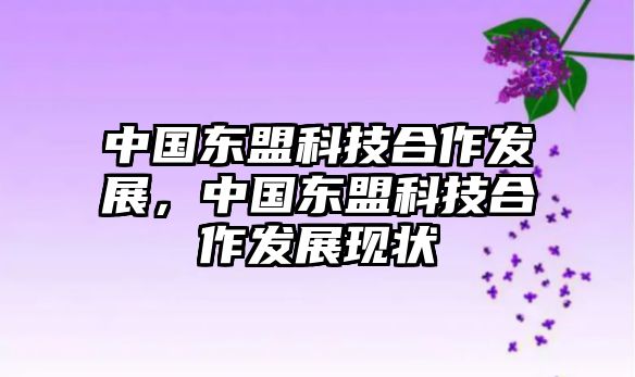 中國(guó)東盟科技合作發(fā)展，中國(guó)東盟科技合作發(fā)展現(xiàn)狀