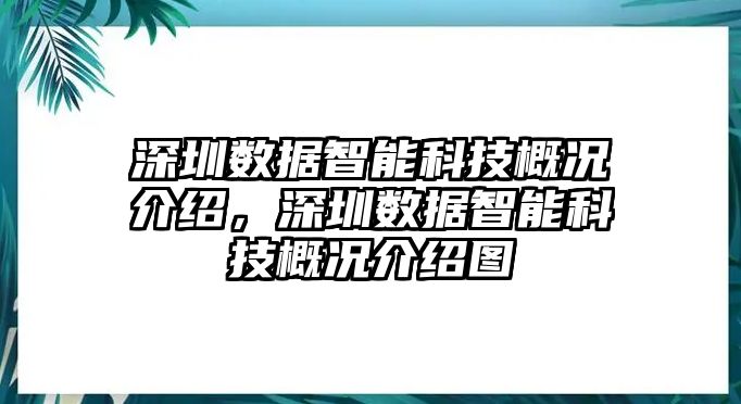 深圳數(shù)據(jù)智能科技概況介紹，深圳數(shù)據(jù)智能科技概況介紹圖