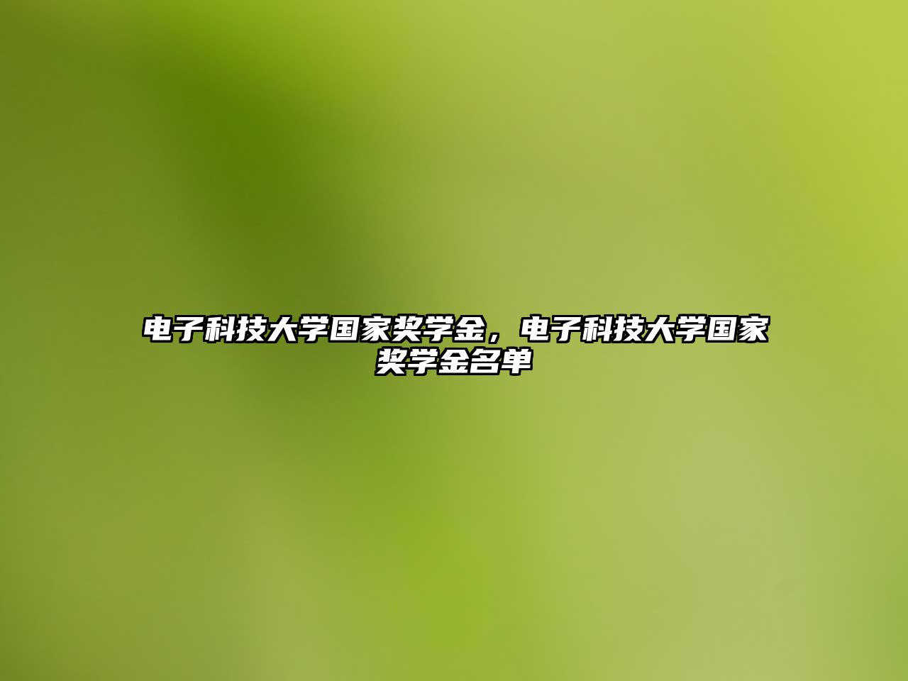 電子科技大學(xué)國(guó)家獎(jiǎng)學(xué)金，電子科技大學(xué)國(guó)家獎(jiǎng)學(xué)金名單