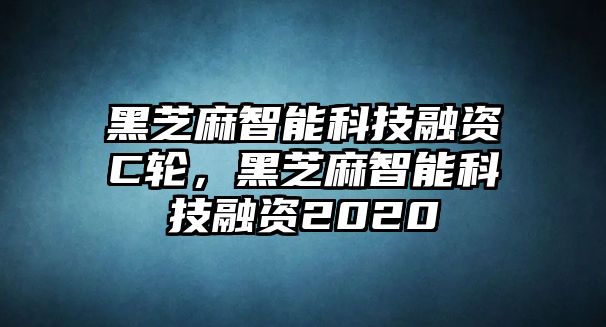 黑芝麻智能科技融資C輪，黑芝麻智能科技融資2020