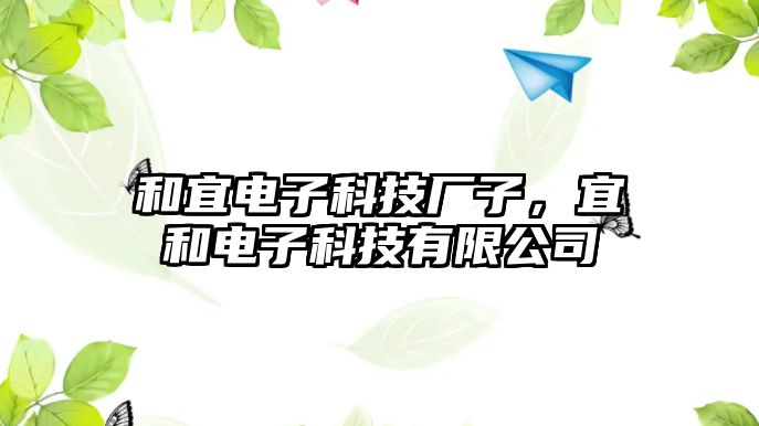 和宜電子科技廠子，宜和電子科技有限公司