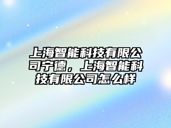 上海智能科技有限公司寧德，上海智能科技有限公司怎么樣