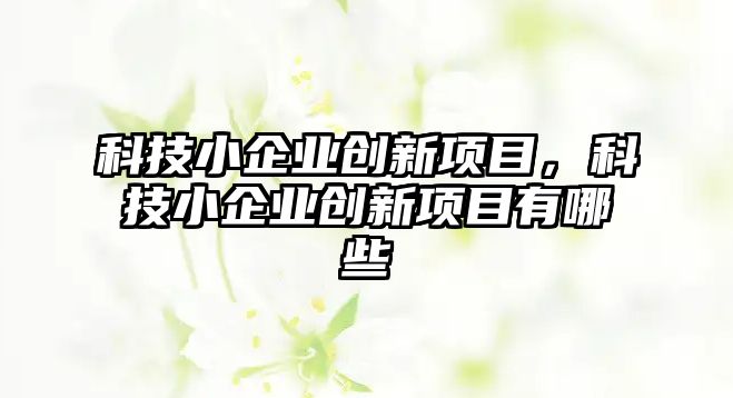 科技小企業(yè)創(chuàng)新項(xiàng)目，科技小企業(yè)創(chuàng)新項(xiàng)目有哪些