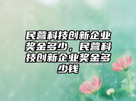 民營(yíng)科技創(chuàng)新企業(yè)獎(jiǎng)金多少，民營(yíng)科技創(chuàng)新企業(yè)獎(jiǎng)金多少錢