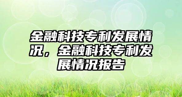 金融科技專利發(fā)展情況，金融科技專利發(fā)展情況報告