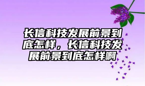 長信科技發(fā)展前景到底怎樣，長信科技發(fā)展前景到底怎樣啊