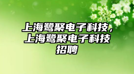 上海鷺聚電子科技，上海鷺聚電子科技招聘