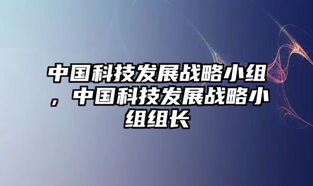 中國科技發(fā)展戰(zhàn)略小組，中國科技發(fā)展戰(zhàn)略小組組長