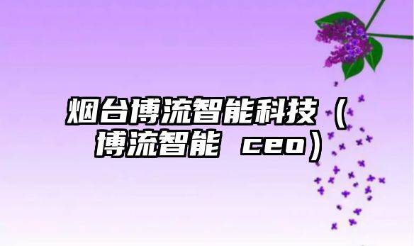 煙臺博流智能科技（博流智能 ceo）