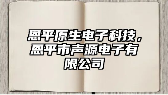 恩平原生電子科技，恩平市聲源電子有限公司