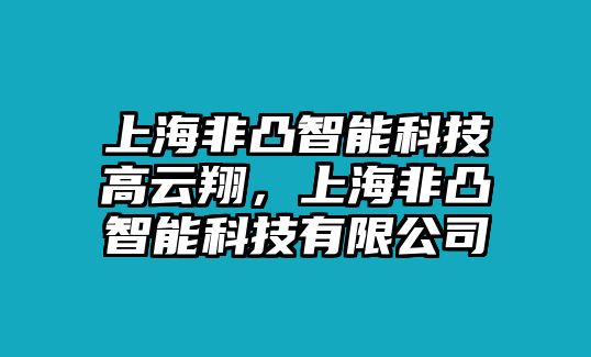 上海非凸智能科技高云翔，上海非凸智能科技有限公司