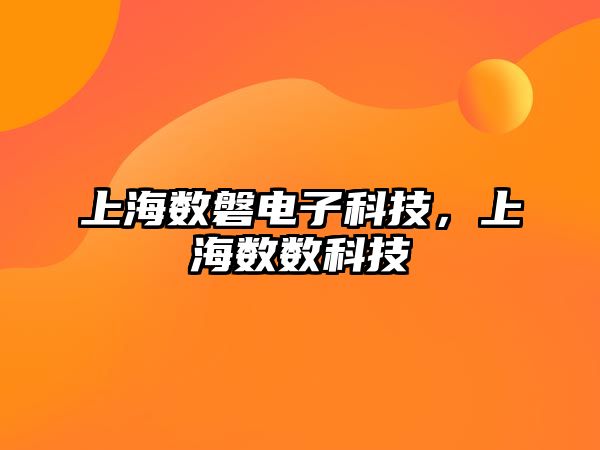 上海數(shù)磐電子科技，上海數(shù)數(shù)科技