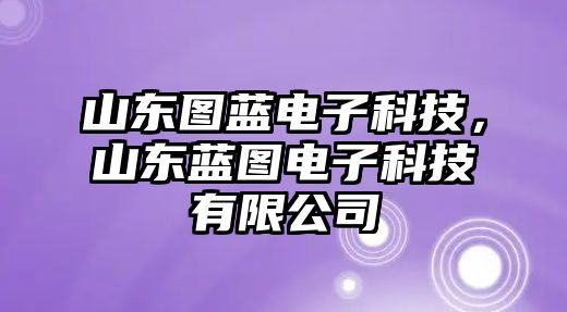 山東圖藍(lán)電子科技，山東藍(lán)圖電子科技有限公司